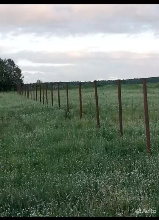 Участок в Башкортостан, Кармаскалинский район, Бузовьязовский ... - Фото 1