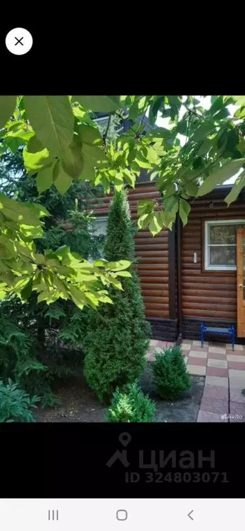 Дом в Ростовская область, Мясниковский район, Большесальское с/пос, ... - Фото 1