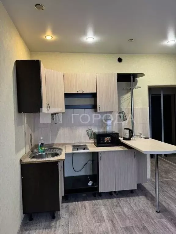 1-к кв. Новосибирская область, Новосибирск ул. Фадеева, 66 (23.6 м) - Фото 1