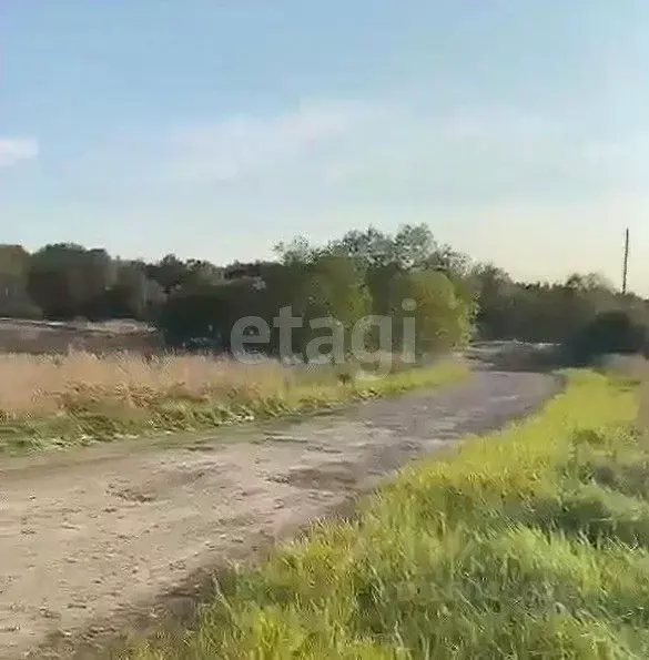 Участок в Московская область, Талдомский городской округ, д. Князчино  ... - Фото 1