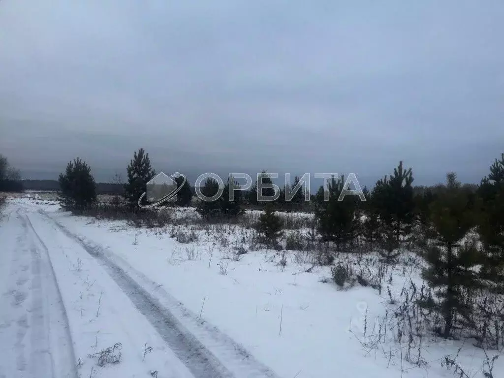 Участок в Тюменская область, Тюменский муниципальный округ, с. ... - Фото 1