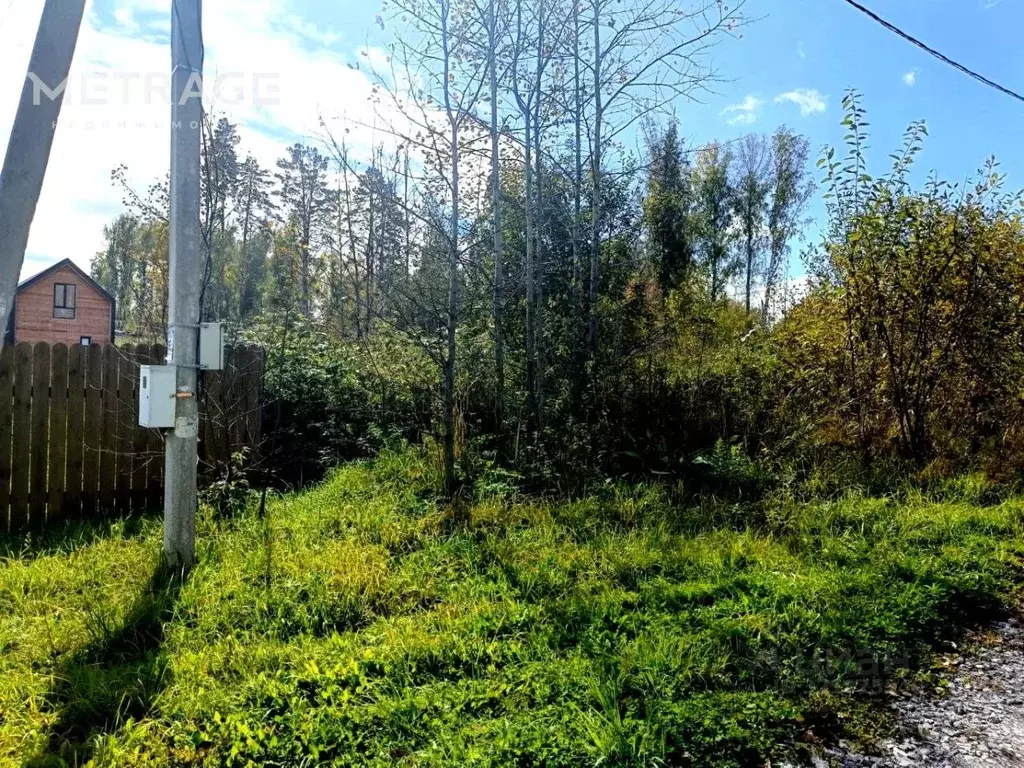 Участок в Новосибирская область, Новосибирский район, Барышевский ... - Фото 0