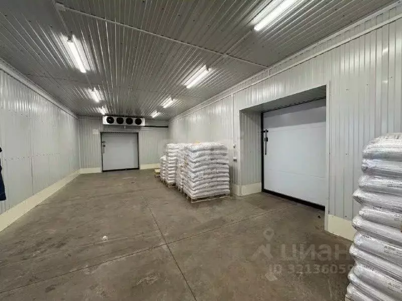 Помещение свободного назначения в Псковская область, Псков ... - Фото 1