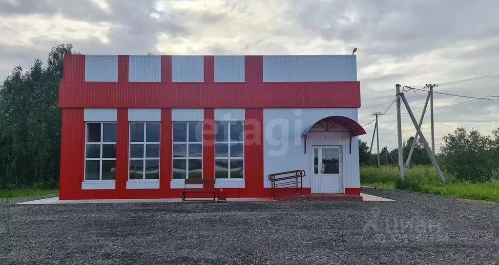 Помещение свободного назначения в Тюменская область, с. Нижняя Тавда ... - Фото 1