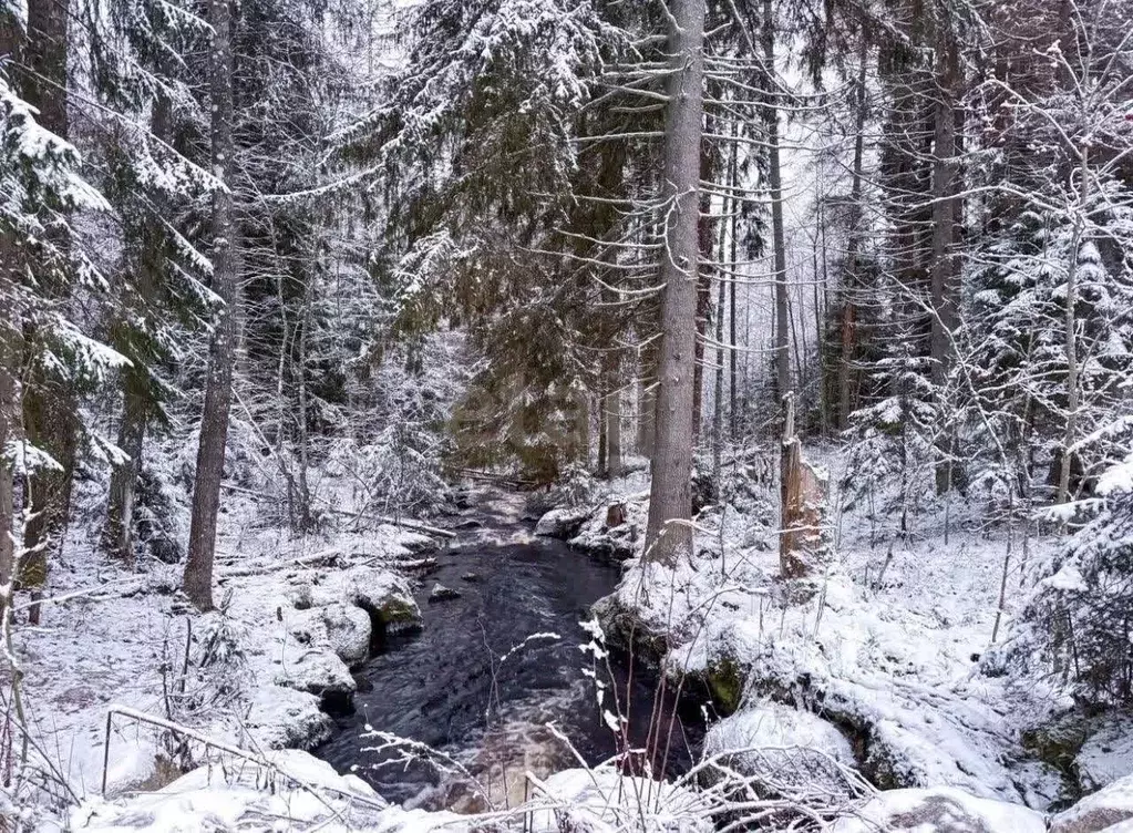 Участок в Ленинградская область, Выборгский район, Полянское с/пос, ... - Фото 2