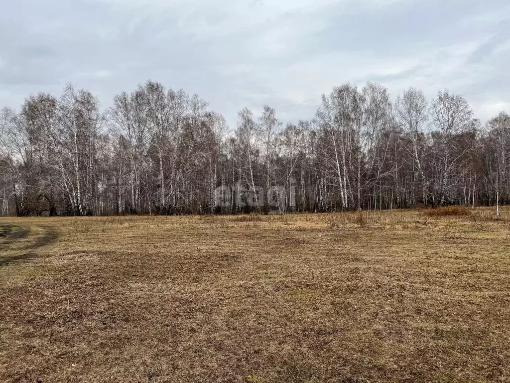 Кемерово Купить Дом В Подъяково Деревне