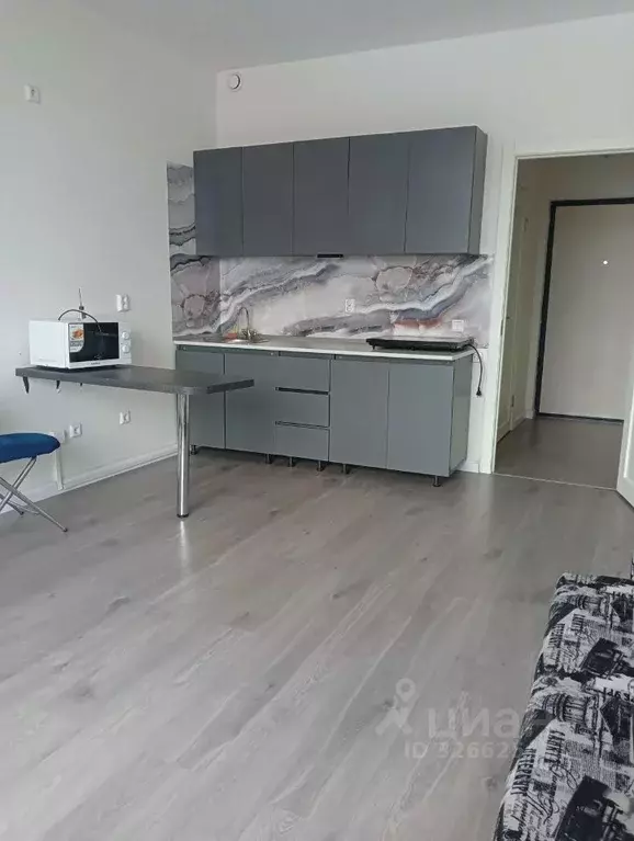 Студия Ленинградская область, Всеволожский район, Свердловское ... - Фото 1