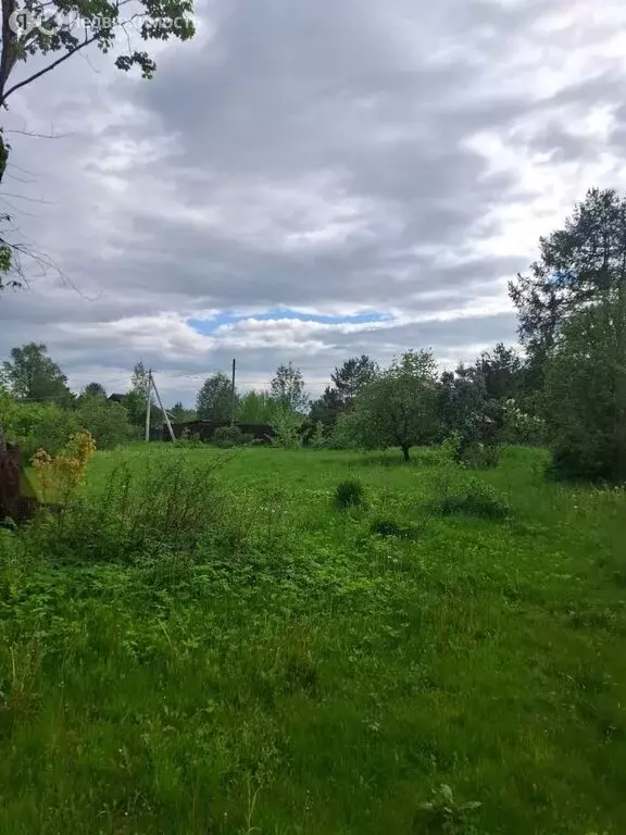 Участок в Бокситогорский район, Большедворское сельское поселение, ... - Фото 2