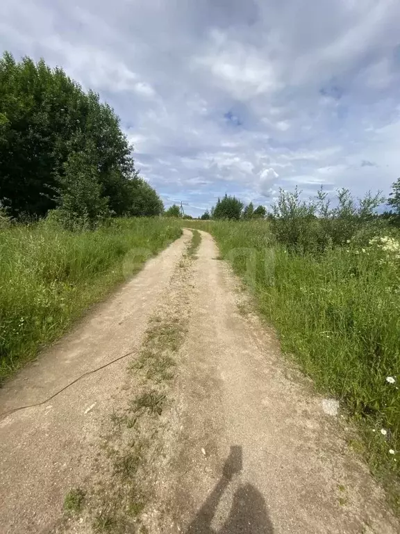 Участок в Вологодская область, Кирилловский муниципальный округ, д. ... - Фото 1