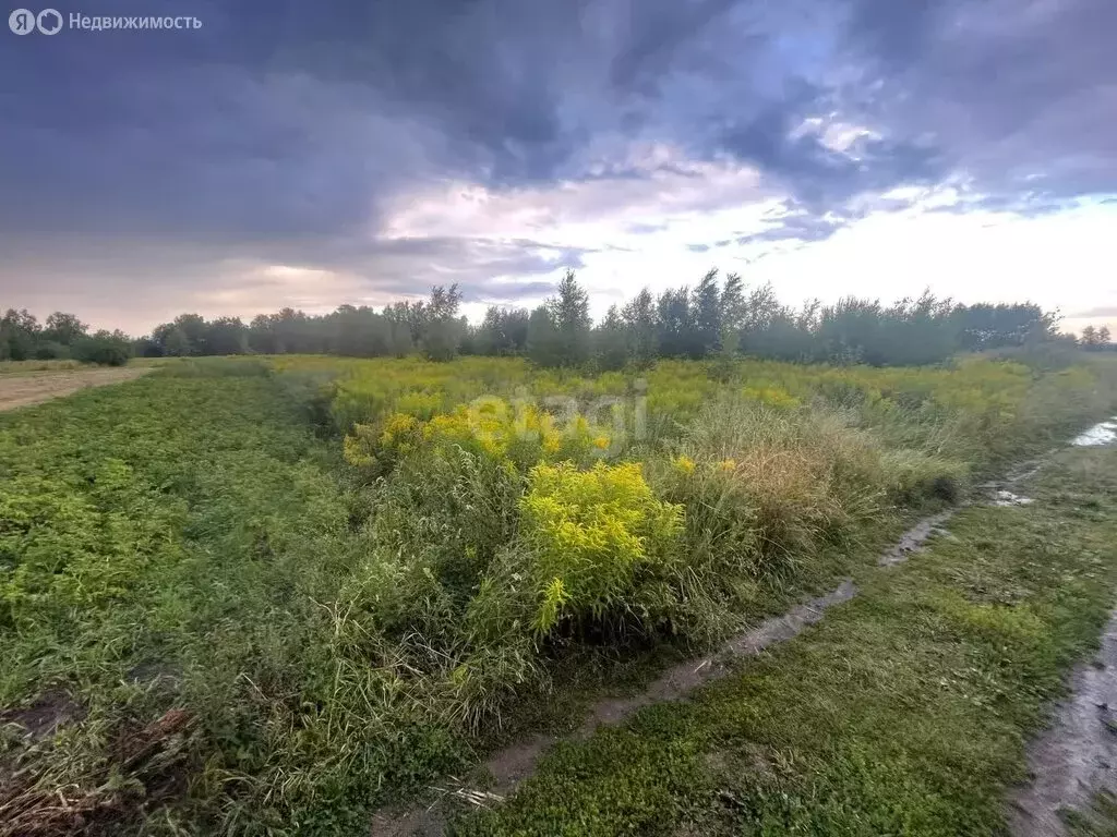 Участок в Нижегородская область, Кстовский муниципальный округ, село ... - Фото 1