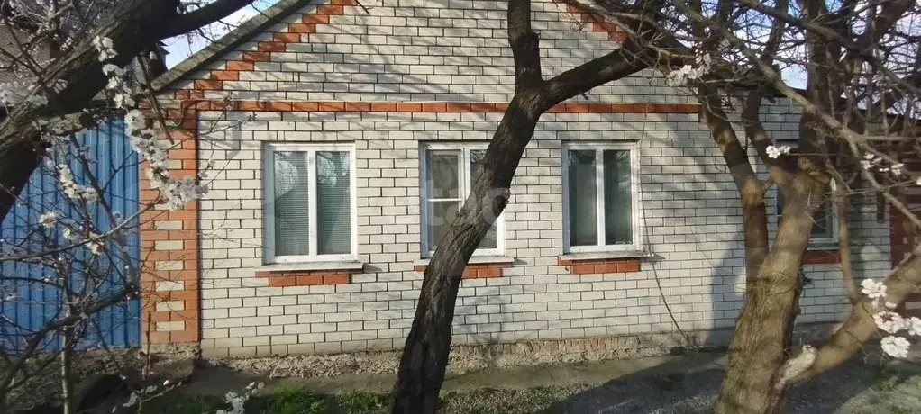 Дом 55,8 м на участке 4,1 сот. - Фото 0