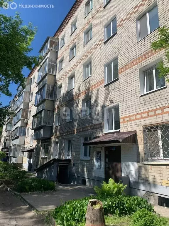 1-комнатная квартира: Благовещенск, улица Чайковского, 49 (31.3 м) - Фото 1