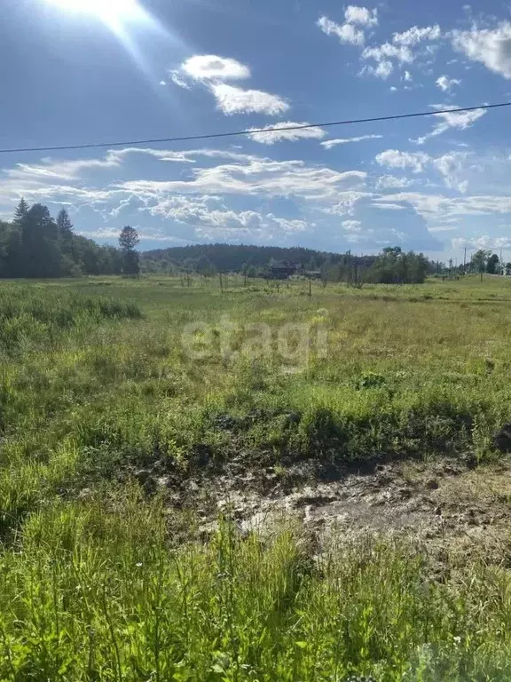 Участок в Костромская область, Судиславль пгт ул. Восточная (14.6 ... - Фото 1