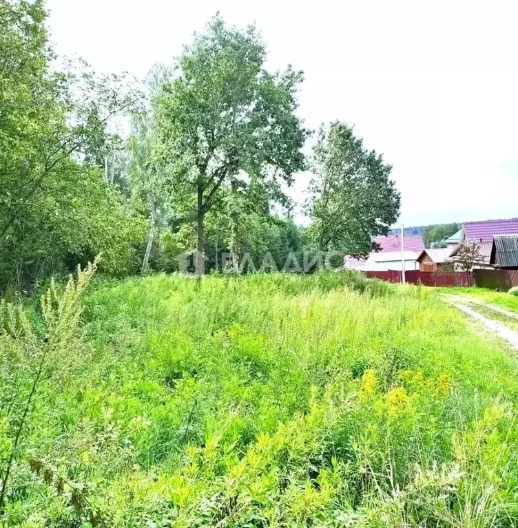 Участок в Калужская область, Боровский район, д. Кривское  (8.0 сот.) - Фото 0
