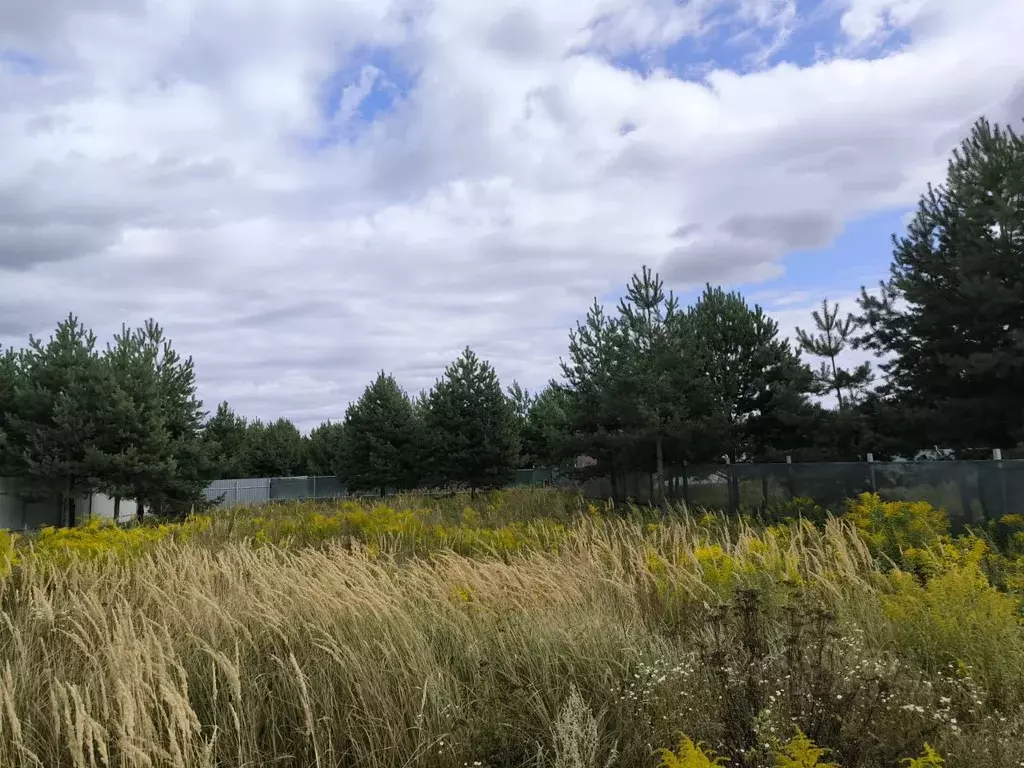 Участок в Московская область, Раменский муниципальный округ, с. Речицы ... - Фото 1