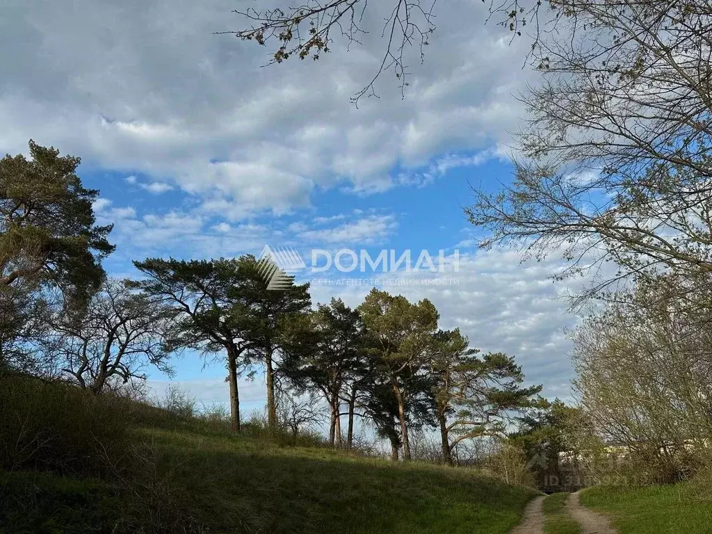 Участок в Ростовская область, Октябрьский район, Красюковская сл. ул. ... - Фото 1