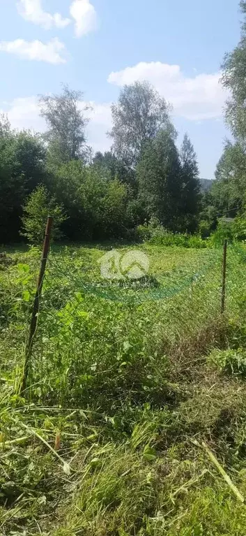 Участок в Новосибирская область, Тогучинский район, Сибиряк садовое ... - Фото 2
