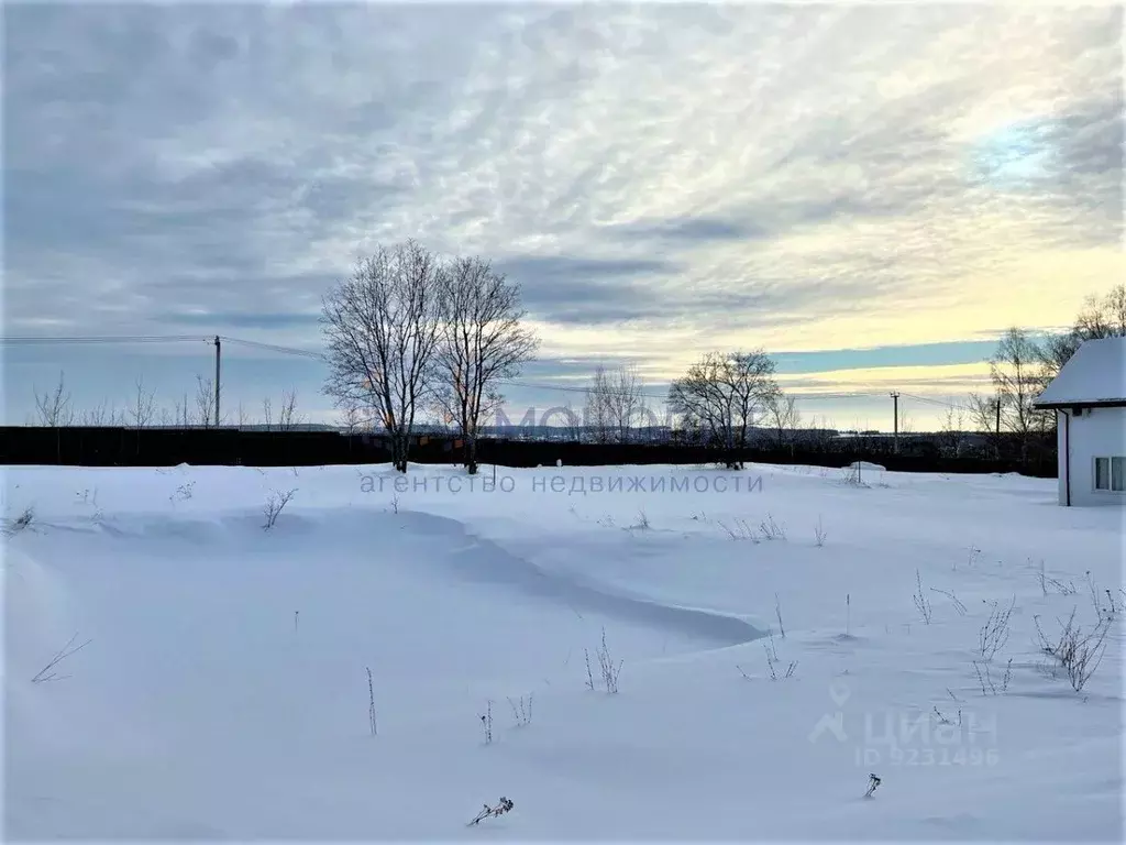 Участок в Нижегородская область, Богородский район, с. Каменки ул. ... - Фото 1