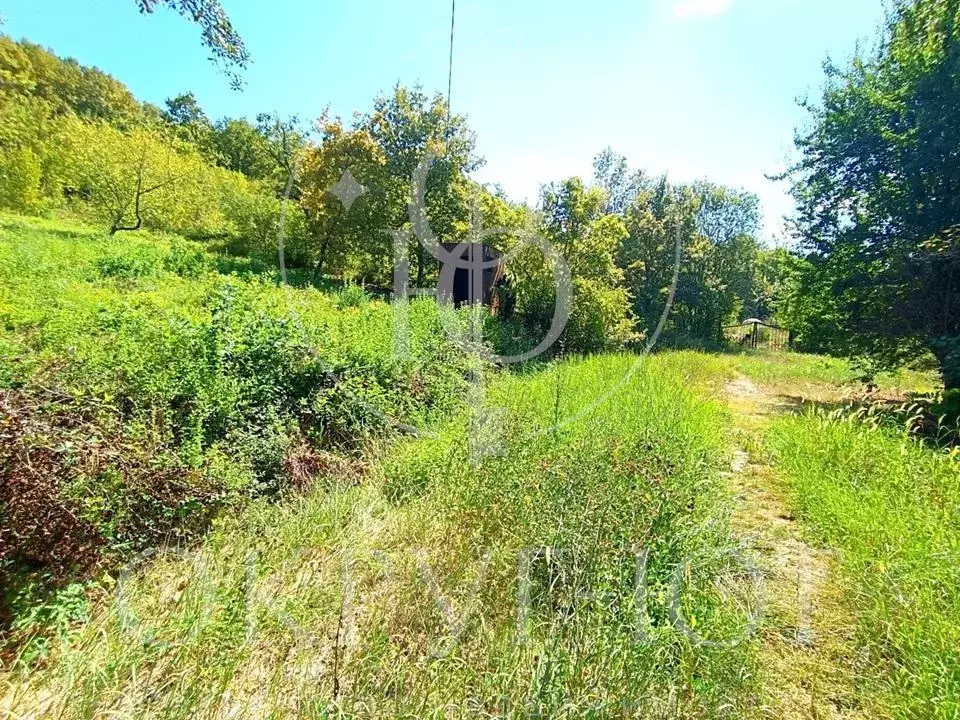 Участок, 6.3 сот., сельхоз (снт или днп) - Фото 1