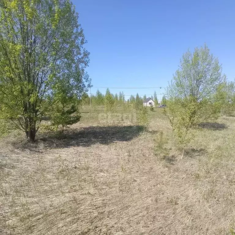 Участок в Марий Эл, Йошкар-Ола городской округ, д. Шоя-Кузнецово ул. ... - Фото 1