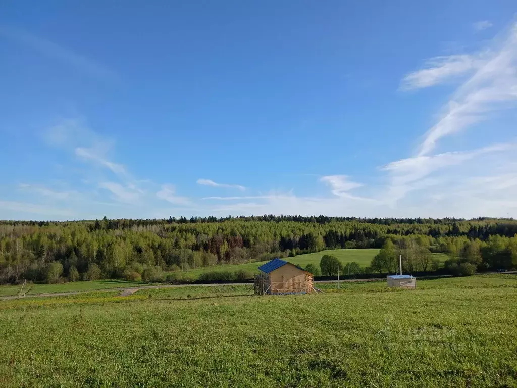 Участок в Московская область, Пушкинский городской округ, Ашукино дп  ... - Фото 0