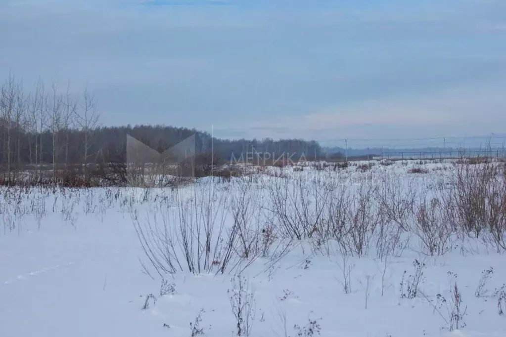 Участок в Тюменская область, Тюменский район, с. Горьковка  (9.0 сот.) - Фото 1