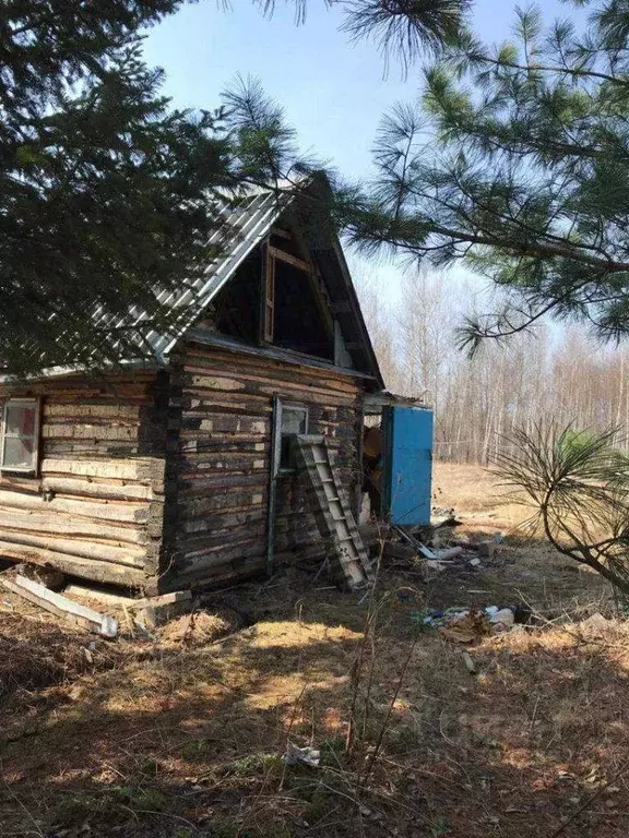 Участок в Иркутская область, Нижнеилимский район, Садовые участки  ... - Фото 0