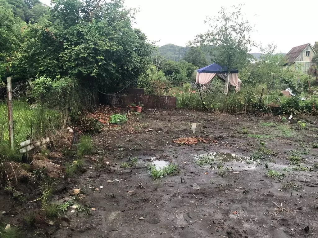 Участок в Краснодарский край, Сочи городской округ, с. Пластунка  (6.0 ... - Фото 1