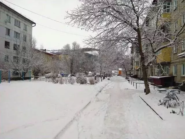 2-к кв. Алтай, Горно-Алтайск Коммунистический просп., 168 (50.8 м) - Фото 2