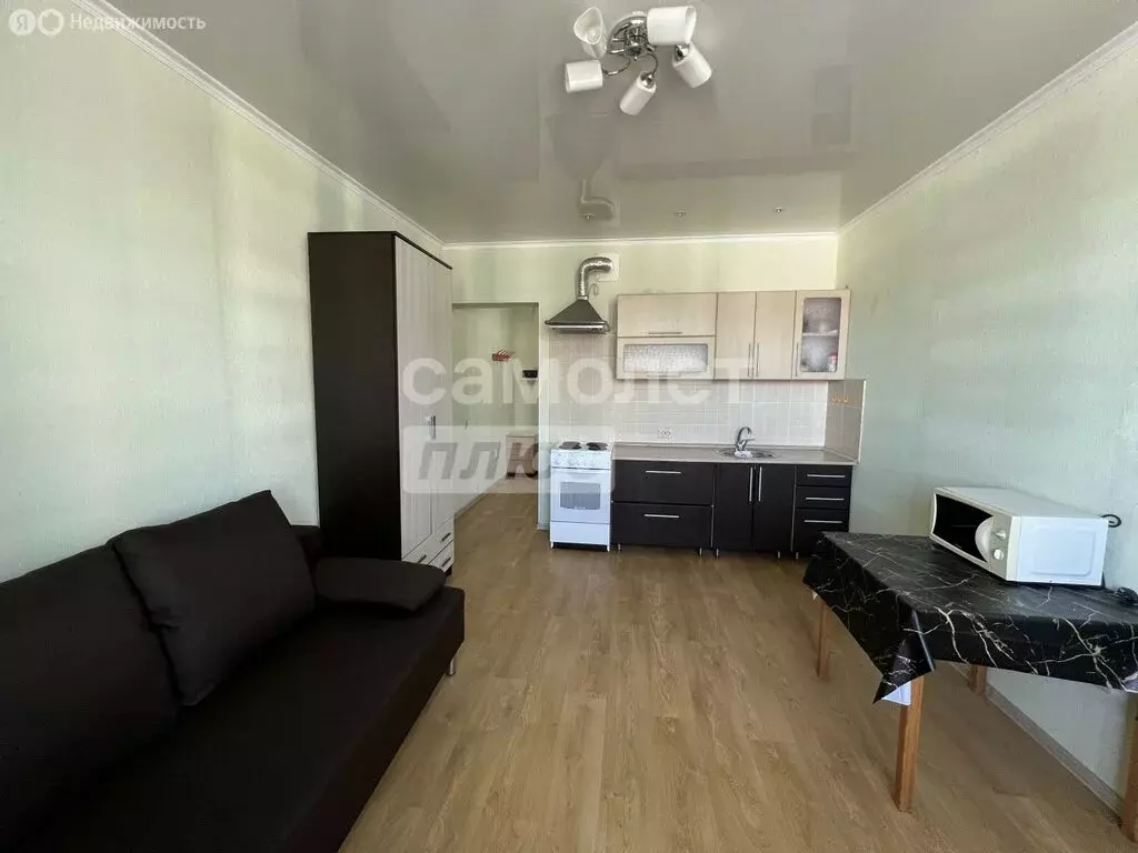 Квартира-студия: село Засечное, Светлая улица, 11 (28 м) - Фото 2