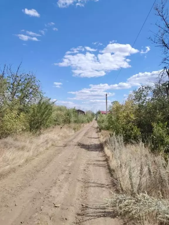 Участок в Ростовская область, Новочеркасск № 16 садовое товарищество, ... - Фото 2