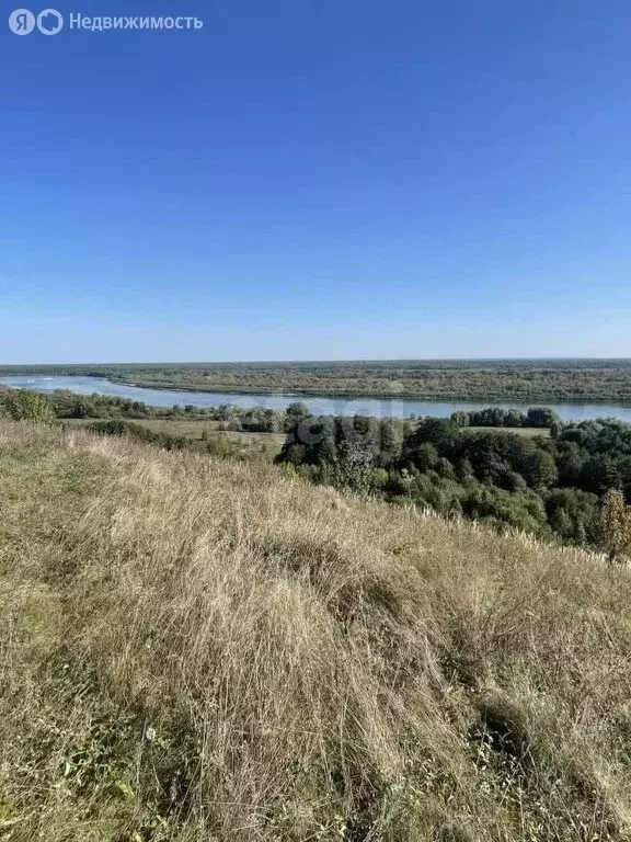 Участок в Владимирская область, Меленковский муниципальный округ, ... - Фото 1