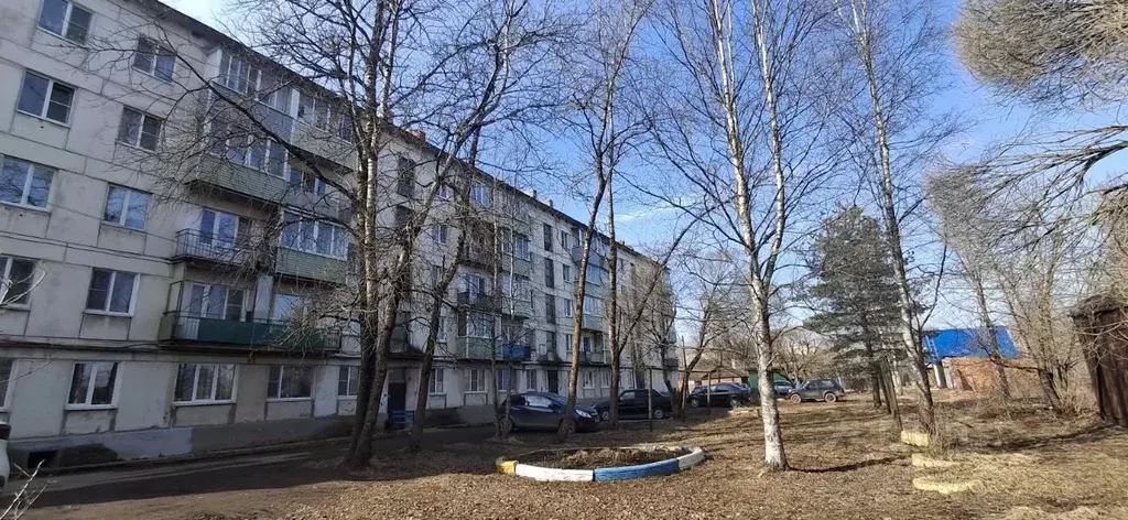 2-к кв. Новгородская область, Малая Вишера Пушкинская ул., 46 (47.1 м) - Фото 1