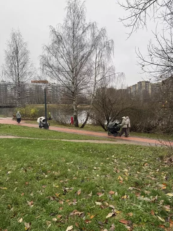 2-к кв. Ленинградская область, Всеволожский район, д. Новое Девяткино ... - Фото 2