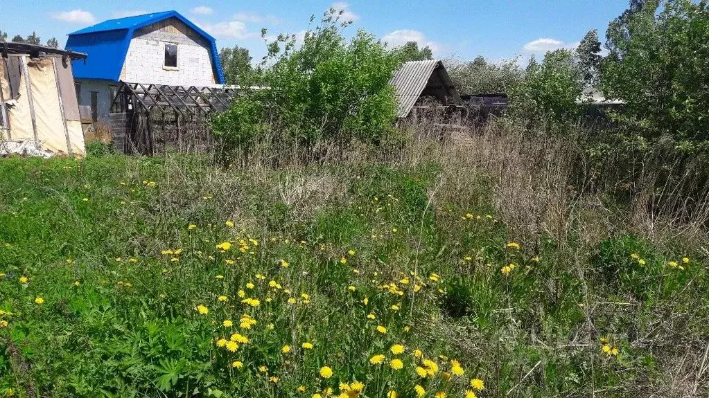 Участок в Свердловская область, Екатеринбург Марс СНТ, Б40 (6.21 сот.) - Фото 1