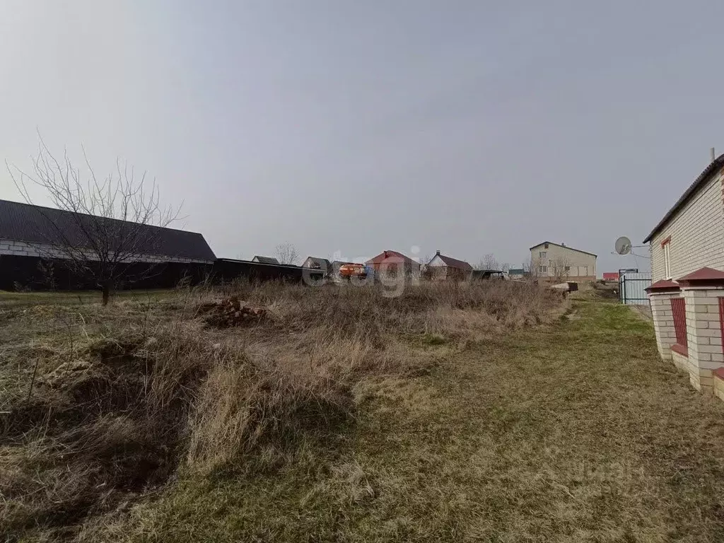 Участок в Белгородская область, Вейделевка рп ул. Зеленая, 5 (15.1 ... - Фото 0