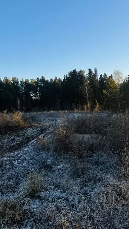 Участок в Удмуртия, Завьяловский район, д. Каменное, Зеленодолье кп ... - Фото 1