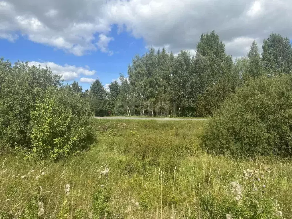 Участок в Ярославская область, Переславль-Залесский муниципальный ... - Фото 1