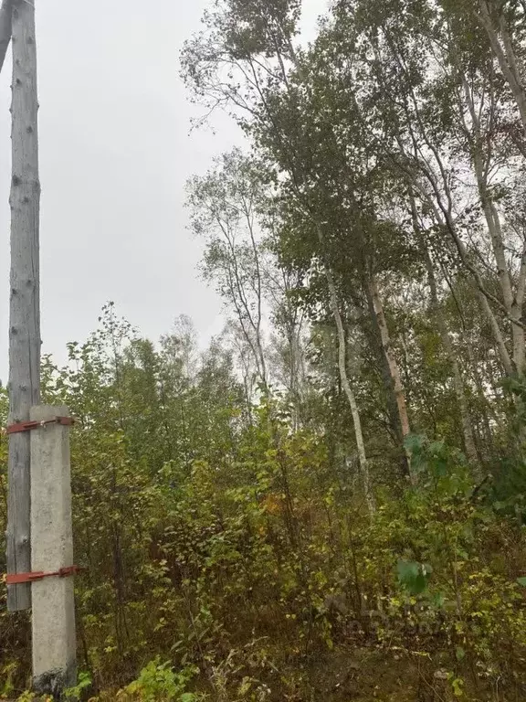 Участок в Сахалинская область, Южно-Сахалинск Изыскатель СНТ, ул. ... - Фото 1