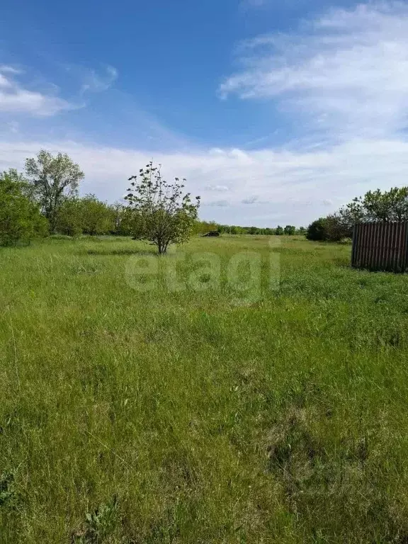 Участок в Краснодарский край, Ейский район, с. Кухаривка Кленовая ул. ... - Фото 1