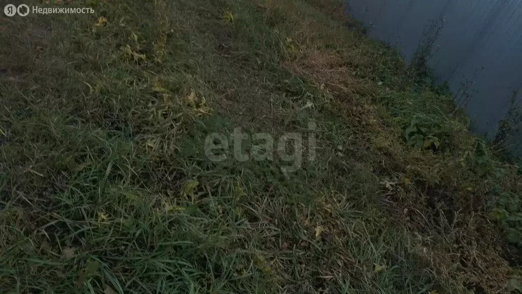 Участок в Воскресенский район, Елшанское муниципальное образование, ... - Фото 2