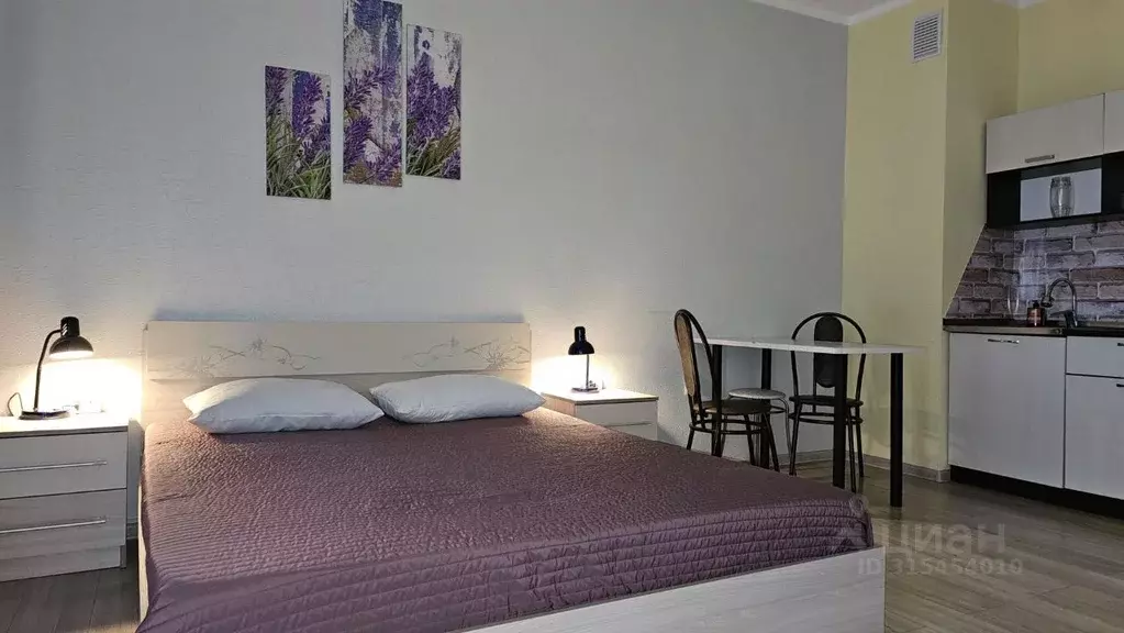 1-к кв. Свердловская область, Екатеринбург ул. Азина, 22/7 (28.0 м) - Фото 0