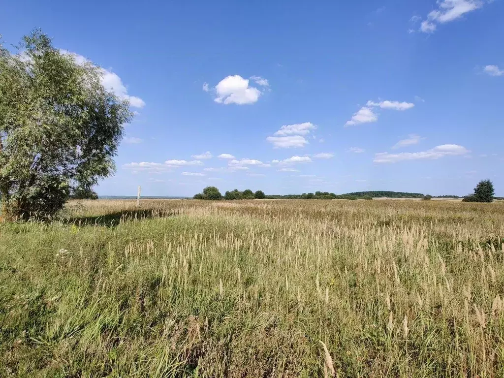Участок в Московская область, Коломна городской округ, с. Коробчеево  ... - Фото 1