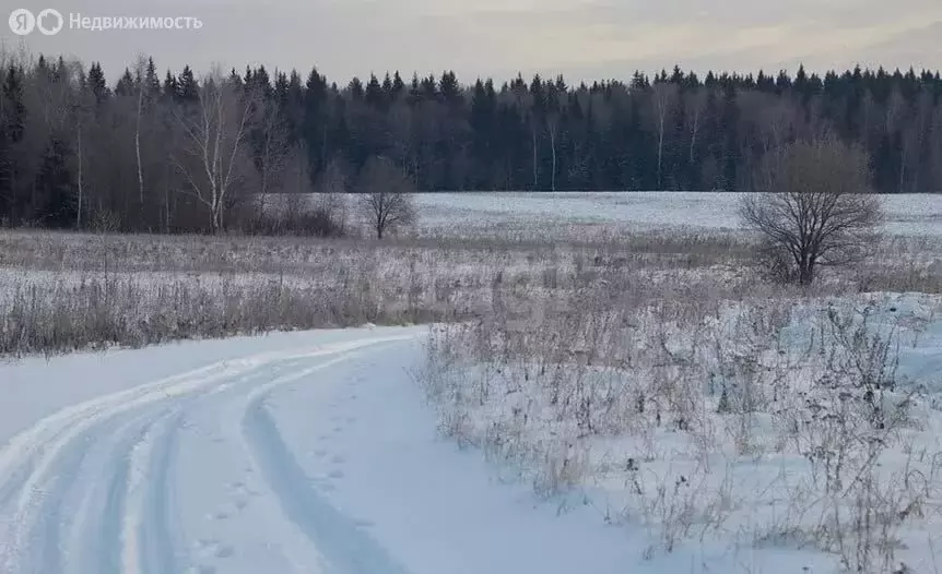 Участок в Кундышское сельское поселение, СНП Лесная Сказка (10 м) - Фото 1