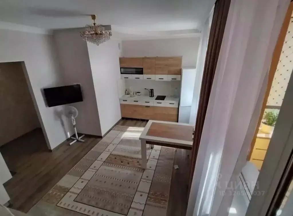 Студия Санкт-Петербург пос. Шушары, ул. Окуловская, 18 (24.2 м) - Фото 2