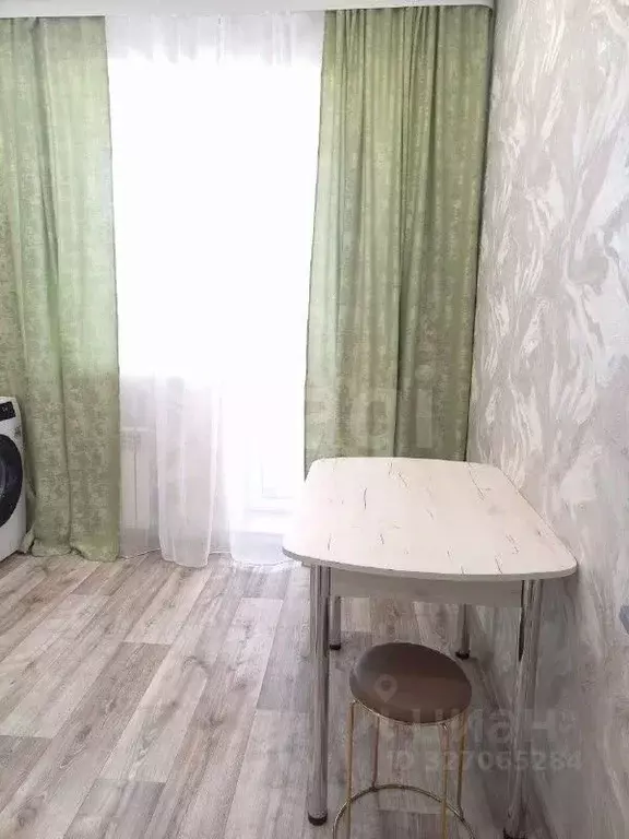 1-к кв. Амурская область, Благовещенский район, с. Чигири ул. ... - Фото 2