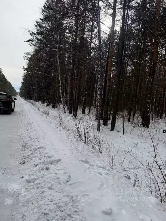 Участок в Бурятия, Тункинский район, пос. Аршан Трактовая ул. (600.0 ... - Фото 2