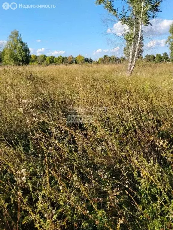 Участок в село Горицы, Садовая улица (20 м) - Фото 1