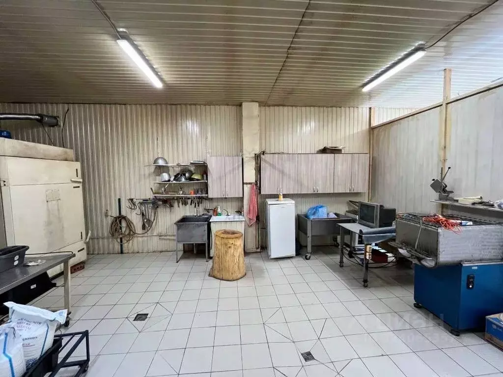 Производственное помещение в Татарстан, Лаишевский район, с. Сокуры ... - Фото 1