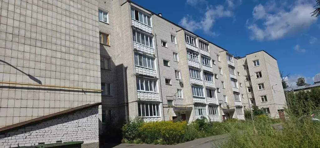 3-к кв. Татарстан, Зеленодольск ул. Норкина, 5 (60.0 м) - Фото 1